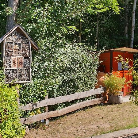 Ferienhaus Am Wald Ronshausen Buitenkant foto