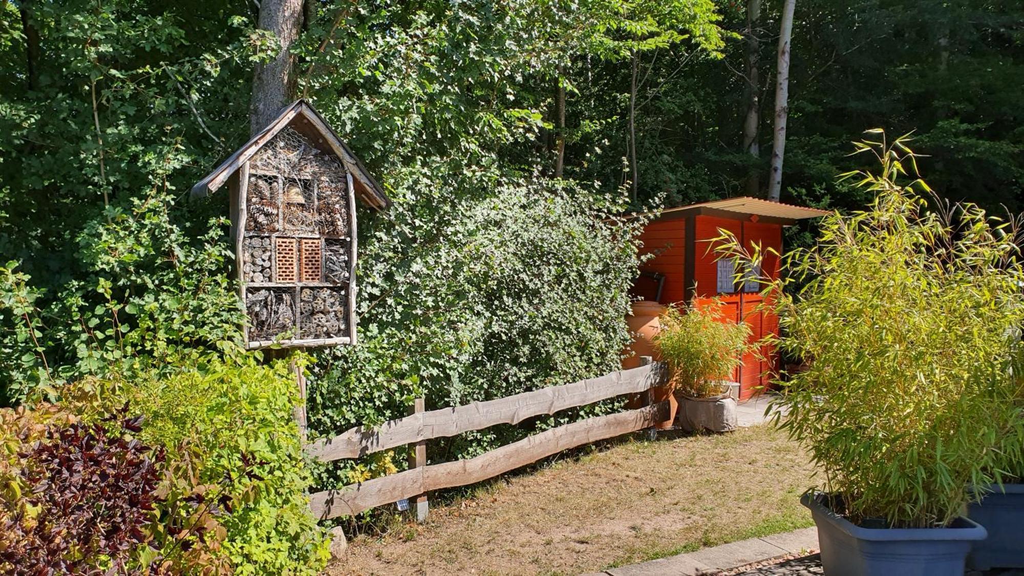 Ferienhaus Am Wald Ronshausen Buitenkant foto