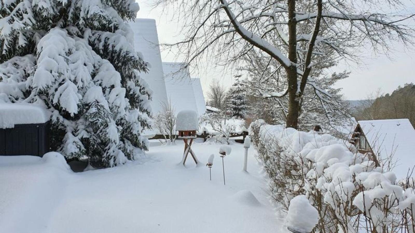 Ferienhaus Am Wald Ronshausen Buitenkant foto